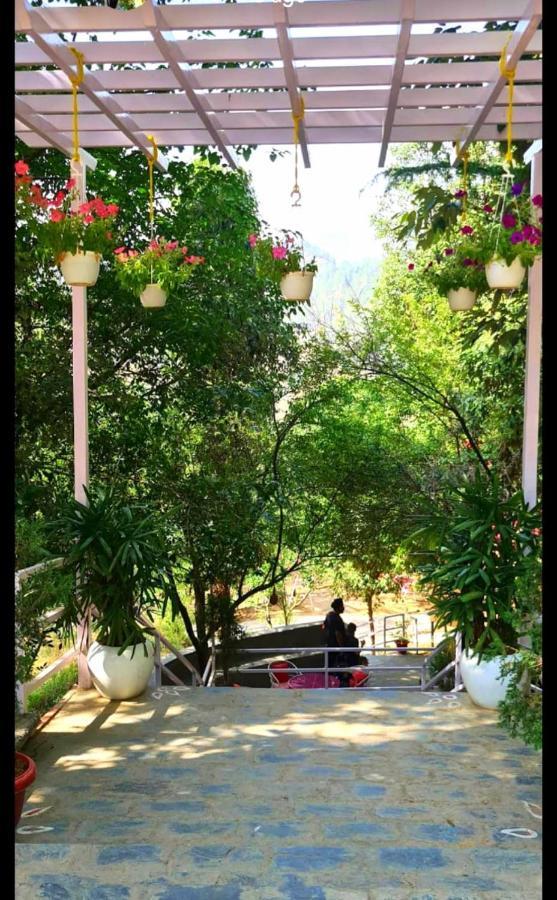 Aaroham Resort Shimla ! Luxury Cottage By Aamod Group Екстер'єр фото