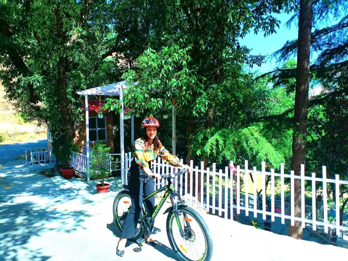 Aaroham Resort Shimla ! Luxury Cottage By Aamod Group Екстер'єр фото