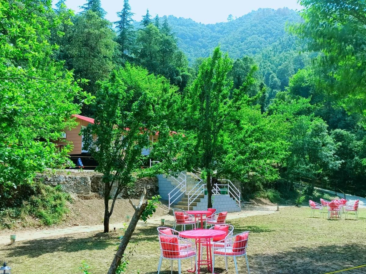 Aaroham Resort Shimla ! Luxury Cottage By Aamod Group Екстер'єр фото