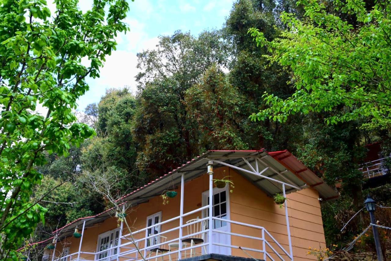 Aaroham Resort Shimla ! Luxury Cottage By Aamod Group Екстер'єр фото