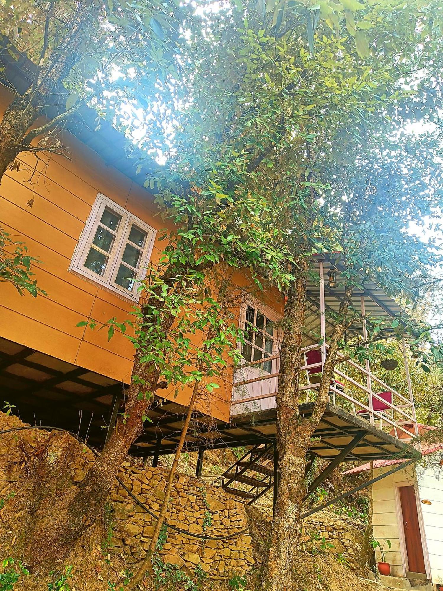 Aaroham Resort Shimla ! Luxury Cottage By Aamod Group Екстер'єр фото